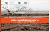 Climate Change Vulnerability & Adaptation for Ben Tre Province, …cfovn.mpi.gov.vn/Portals/0/Upload/report/MienNam/4_16_WWF... · 2013-08-06 · 6.1 Khôi phục lại diện tích