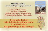 Daniele Grassi  · ll ruolo del biofilm nelle infezioni genito-urinarie: il punto di vista del ginecologo e dell’urologo Daniele Grassi