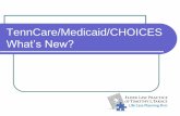 TennCare/Medicaid/CHOICES What’s New? EJU TennCare Update.pdf · PAE Appeals Case: Elmer and Irene Elmer is in the Nursing Home for rehab following a severe stroke. When therapy
