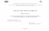 7(='('2&725$7 - Babeș-Bolyai University Izabela Luiza.pdf · 1 CUPRINSUL TEZEI DE DOCTORAT Lista figurilor ..... V