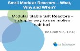 Modular Stable Salt Reactors - a simpler way to use molten SMR 2016 salt … · 2016-06-09 · Modular Stable Salt Reactors - a simpler way to use molten salt fuel Ian Scott M.A.,