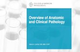 Overview of Anatomic and Clinical Pathology · 2019-08-22 · •Pathology is a specialty that offers a great deal of variety and contains two main divisions: Anatomic Pathology and