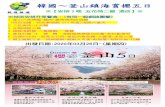 韓國～釜山鎮海賞櫻五日 - cltour.com.t · 【途經廣安大橋】廣安跨海大橋長900米、寬24米，是韓國最長的2層式懸垂橋，與美國的金門大橋
