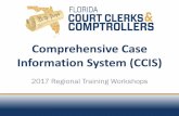 Comprehensive Case Information System (CCIS)...CCIS Background CCIS Comprehensive Case Information System Statewide Court Case Data and Records Florida Statute - 28.24(12)(e) Provides