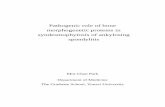 Pathogenic role of bone morphogenetic proteins in ......Pathogenic role of bone morphogenetic proteins in syndesmophytosis of ankylosing spondylitis Directed by Professor Soo-Kon Lee