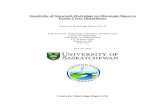 Sensitivity of Snowmelt Hydrology on Mountain Slopes to ... · Sensitivity of Snowmelt Hydrology on Mountain Slopes to Forest Cover Disturbance Centre for Hydrology Report No. 10
