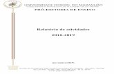 Relatório de atividades 2018-2019PAULO FERNANDO MIRANDA DA SILVA UNIVERSIDADE FEDERAL DO MARANHÃO Fundação Instituída nos termos da Lei nº 5.152, de 21/10/1966 – São Luís