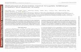 Methyleugenol Potentiates Central Amygdala GABAergic …jpet.aspetjournals.org/content/jpet/368/1/1.full.pdf · Methyleugenol Potentiates Central Amygdala GABAergic Inhibition and