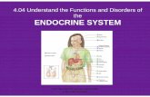 fd endocrine system - Alamance-Burlington School System · of the endocrine system Functions of the ENDOCRINE SYSTEM Gonads Ovaries (female) Secrete estrogen: Responsible for sexual