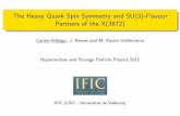 The Heavy Quark Spin Symmetry and SU(3)-Flavour Partners ...icc.ub.edu/congress/HYP2012/templates/talks/parallel/par2/Hidalgo_Slides.pdf · The Heavy Quark Spin Symmetry and SU(3)-Flavour