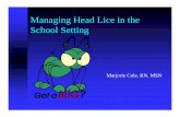 Managing Head Lice in the School Setting - Missourihealth.mo.gov/living/families/schoolhealth/pdf/HEADLICE.pdfManaging Head Lice in the School Setting ... (pediculus capitis) between