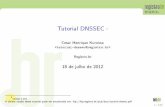 Tutorial DNSSEC 1 - PUCPRjamhour/Download/pub/Graduacao/CC/tutorial... · Resource Records Os dados associados com os nomes de dom´ınio est˜ao contidos em ResourceRecordsou RRs