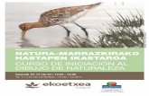 EKINTZA / ACTIVIDAD NATURA-MARRAZKIRAKO HASTAPEN IKASTAROA CURSO DE … · 2018-10-29 · ekintza / actividad natura-marrazkirako hastapen ikastaroa curso de iniciaciÓn al dibujo