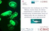 Detección de medusas en el Mar Balear, nueva base de ... · Detección de medusas en el Mar Balear, nueva base de datos sistemática y relación con las condiciones ambientales: