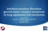 Inhibitor-sensitive fibroblast growth factor receptor ... · Inhibitor-sensitive fibroblast growth factor receptor mutations in lung squamous cell carcinoma Rachel G. Liao Laboratory