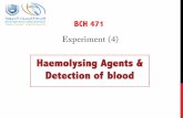 Haemolysing Agents & Detection of bloodfac.ksu.edu.sa/sites/default/files/hemolysing_agents_and_blood_detection.pdf · • The oxidising species formed in this reaction can then react