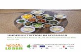 UNDERNUTRITION IN MYANMAR · PDF file Executive Summary The multi-donor Livelihoods and Food Security Trust Fund (LIFT) commenced operations in Myanmar in 2010, supporting implementing
