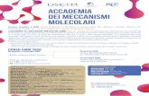 ACCADEMIA DEI MECCANISMI MOLECOLARI · 2020-01-14 · ACCADEMIA DEI MECCANISMI MOLECOLARI Possono accedere a AMM Lauree Magistrali in discipline di Scienze della Vita (Medicina e