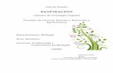 RESPIRACIÓNintranet.exa.unne.edu.ar/biologia/fisiologia.vegetal/Gu... · 2019-03-20 · experimentos sobre la función del "aire" en la combustión y en la respiración. Uno de los