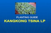 KANGKONG TSINA LP · Kangkong Tsina LP Planting •Sowing seeds in the rows on the soil Construct furrows 1 inch deep and space them 10-15 cm apart Sow the seeds 5 cm apart in the