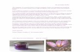 iris aromatic herbs - Greek Exporters Aromatic Herbs/iris.pdf · iris aromatic herbs The company 'iris aromatic herbs' is a new company, which was founded envisioned the promotion