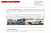 Bridgestone Việt Nam hưởng ứng Ngày Trái Đất 2017 với việc tài … · 2020-01-11 · viên công ty vệ sinh trong việc xử lý và tái chế. ác thùng rác