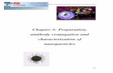 Chapter 4: Preparation, antibody conjugation and ...shodhganga.inflibnet.ac.in/bitstream/10603/7493/9/09_chapter 4.pdf · 2004), antibodies (Aktas et al 2005, Kocbek et al 2007),
