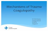 Mechanisms of Trauma Coagulopathy - ANZCA · Mechanisms of Trauma Coagulopathy Dr B M Schyma Changi General Hospital Singapore A continued cause of PREVENTABLE death. 24% of trauma
