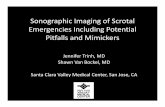 Sonographic Imaging of Scrotal Emergencies ... Sonographic Imaging of Scrotal Emergencies Including