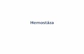 Základní principy hemostázy - Univerzita Karlova · •Plasminogen se váže na fibrinogen i fibrin, je tedy prítomen v hemostatické zátce a je chráněn proti působení antiplasminu..