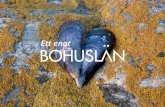 Ett enat Bohuslän Digital - vastsverige.com...som vill vara en aktiv del i destinationsutvecklingen lokalt och för hela Bohuslän. FÖRETAGENS ANSVAR INOM ETT ENAT BOHUSLÄN ÄR