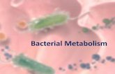 Bacterial Metabolism: Catabolic Pathways and regulationfac.ksu.edu.sa/sites/default/files/lec_7_bacterial_metabolism.pdf•Commercial exploitation of bacterial metabolism has given