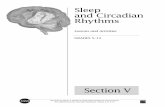 Sleep and Circadian Rhythms - TeacherLINKteacherlink.ed.usu.edu/tlnasa/units/Brain/08.pdfSleep and Circadian Rhythms Introduction The Neurolab experiments examined the physiology of
