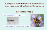 Entomologie - Insermallergo.lyon.inserm.fr/colloques/2016_PRESENTATIONS/... · 2016-07-19 · Arachnides : 4 paires de pattes Le sang, chez les insectes, distribue métabolites, hormones,