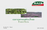 aromatiche herbs · 767 Cerfoglio comune Chevril Anthriscus cerefolium - Annuale. Foglie finemente suddivise di colore verde medio, molto aromatica - Annual variety. Finely divided