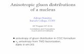 Anisotropic gluon distributions of a nucleusAnisotropic gluon distributions of a nucleus Adrian Dumitru Baruch College, CUNY INT Program INT-15-2b Correlations and Fluctuations in