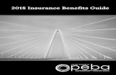 2018 Insurance Benefits Guide · 2018-06-19 · 8 INSURANCE BENEFITS GUIDE | 2018 Disclaimer Benefits administrators and others chosen by your employer who may assist with insurance