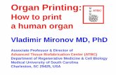 Organ Printingdownloads.deusm.com/designnews/25419-Organ_Printing_How...Organ Printing: How to print a human organ Vladimir Mironov MD, PhD Associate Professor & Director of Advanced