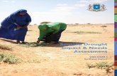 Somalia Drought Impact & Needs Assessment · 2020-02-01 · cyclical famine risk in Somalia. The report has benefitted throughout the process from the constructive and informative