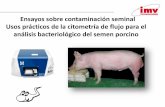 Ensayos sobre contaminación seminal Usos prácticos de la ...Ensayos sobre contaminación seminal Usos prácticos de la citometría de flujo para el análisis bacteriológico del