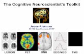 The Cognitive Neuroscientist’s Toolkitcs182/sp07/notes/Rissman_CogNeuroMethods_FINAL.pdfE = mc2 The First “Brain Imaging” Experiment “[In Mosso’s experiments] the subject
