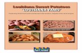 Louisiana Sweet Potatoes ‘LOUISIANA YAMS’ ... Other: Sweet potato chips, biscuit and pancake mixes, juices, cookies, baby foods, prepared casseroles and pet food are among the