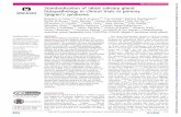Recommendation Standardisation of labial salivary gland ...Standardisation of labial salivary gland histopathology in clinical trials in primary Sjögren’s syndrome Benjamin A Fisher,1,2