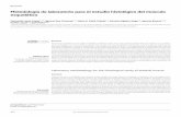 Metodología de laboratorio para el estudio histológico del …archivosdemedicinadeldeporte.com/articulos/upload/rev02... · 2018-11-25 · Metodología de laboratorio para el estudio