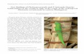 New findings of Phelsuma grandis and P. laticauda (Sauria: … · 2014-01-24 · New findings of Phelsuma grandis and P. laticauda (Sauria: Gekkonidae) at the southern edge of the