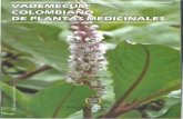 · PDF file 2018-09-19 · AJENJO Nombre científico Artemisia absinthium L. Sinónimos Artemisia absinthium var. insipida Stechmann (Missouri Botanical Garden, 2007) Nombres comunes: