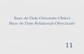 Baze de Date Orientate-Obiect Baze de Date Relațional ...dsuciu/Didactic/BazeDeDate1... · Cel mai popular limbaj de interogare este OQL (Object Query Language) ce a fost proiectat