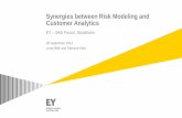 Synergies between Risk Modeling and Customer Analytics · Synergies between Risk Modeling and Customer Analytics Predict fraud Predict reserves Evaluate sales force Predict loss cost