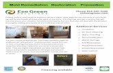 Mold Remediation Restoration Prevention · mold-free and stays mold-free, and all for a reasonable price. They are highly trained and use only the best tech-niques and products available