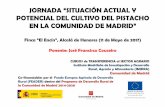 JORNADA “SITUACIÓN ACTUAL Y ... - Comunidad de Madrid · jornada “situaciÓn actual y potencial del cultivo del pistacho en la comunidad de madrid” finca “el encín”, alcalá